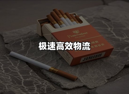 专业优势